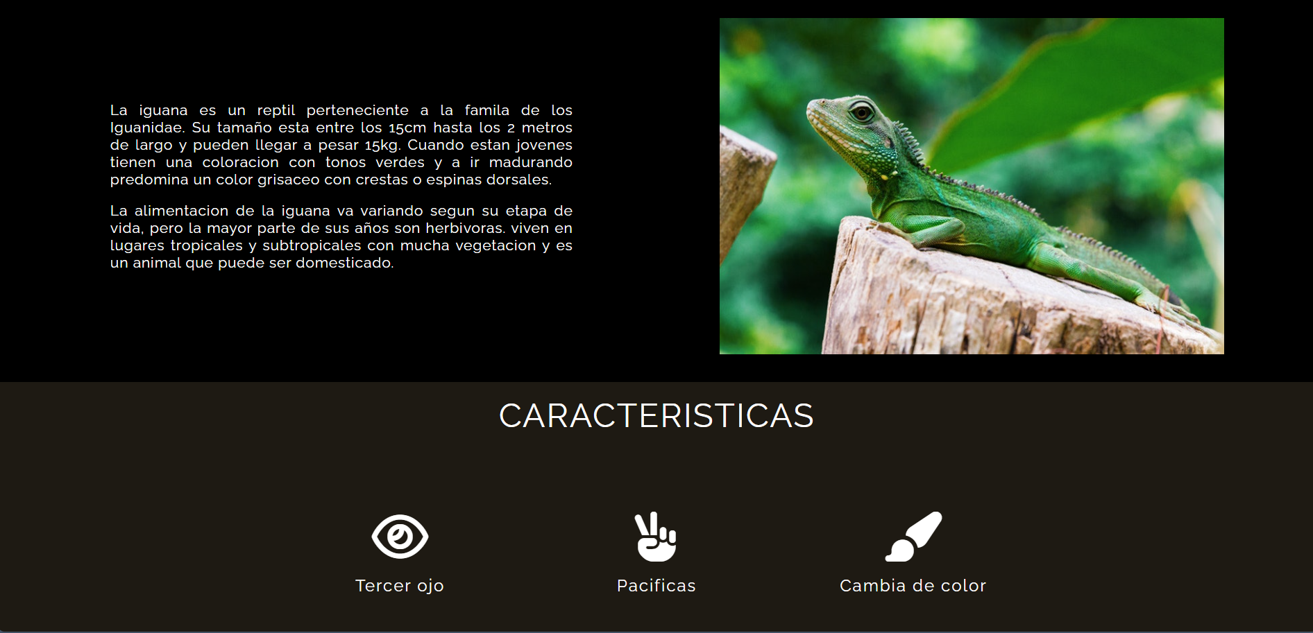 Pagina de Igunas